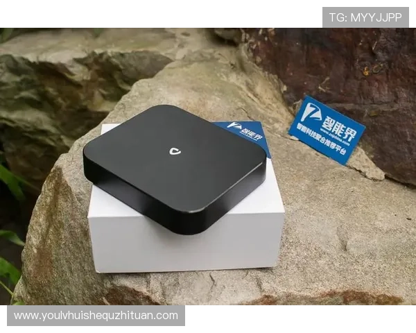 开云完美体育平台网页版：安全保障措施与个人信息保护详细分析