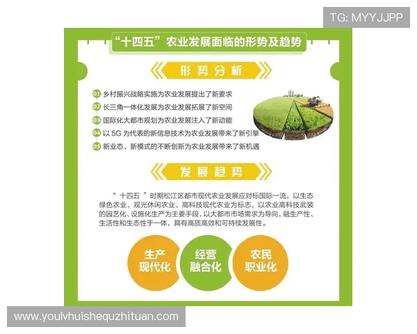 开云旗下多品牌多元化发展策略,如何持续引领高端消费的新趋势 开云旗下多品牌多元化发展策略,如何持续引领高端消费的新趋势